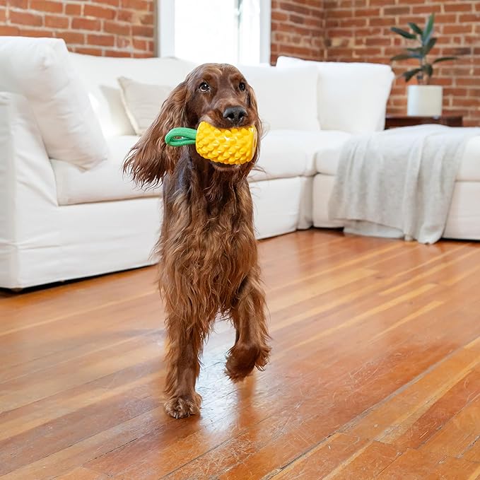 Outward Hound by Planet Dog Dental Pineapple Dental Chew Toy and Interactive Treat Stuffer Durable Dog Toy Stuffable Dog Toy, Yellow