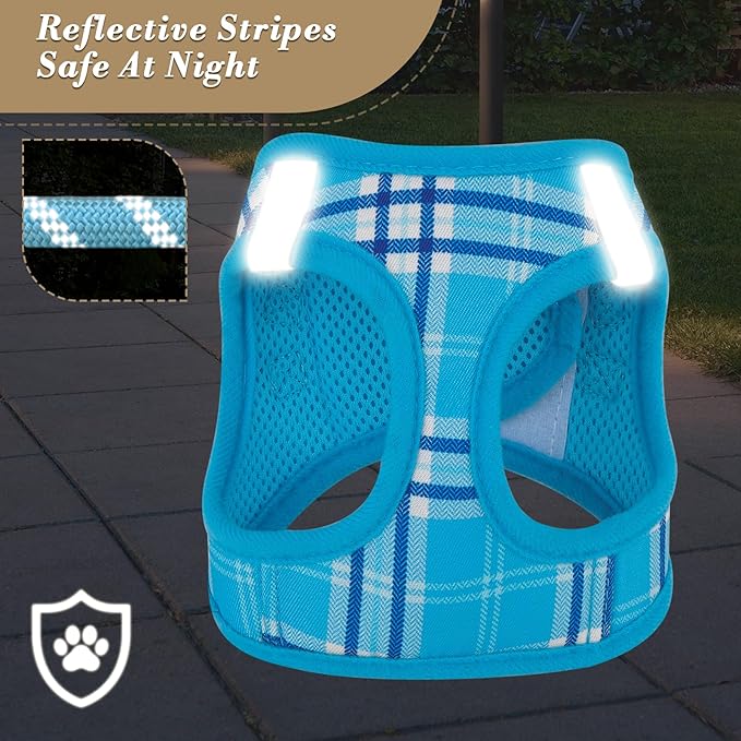 Athena Collection Small Dog Harness with 5 ft Leash, Step-in Dog Harness Leash Set Extra Small No Pull Dog Vest Harness with Reflective Strips Adjustable Velcro, Easy Walk Puppy Harness, Blue