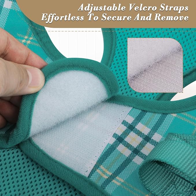 Athena Collection Step-in Dog Harness with 5 ft Leash, Large Dog Harness Leash Set Large No Pull Dog Vest Harness with Reflective Strips Adjustable Velcro, Easy Walk Dog Harness, Green