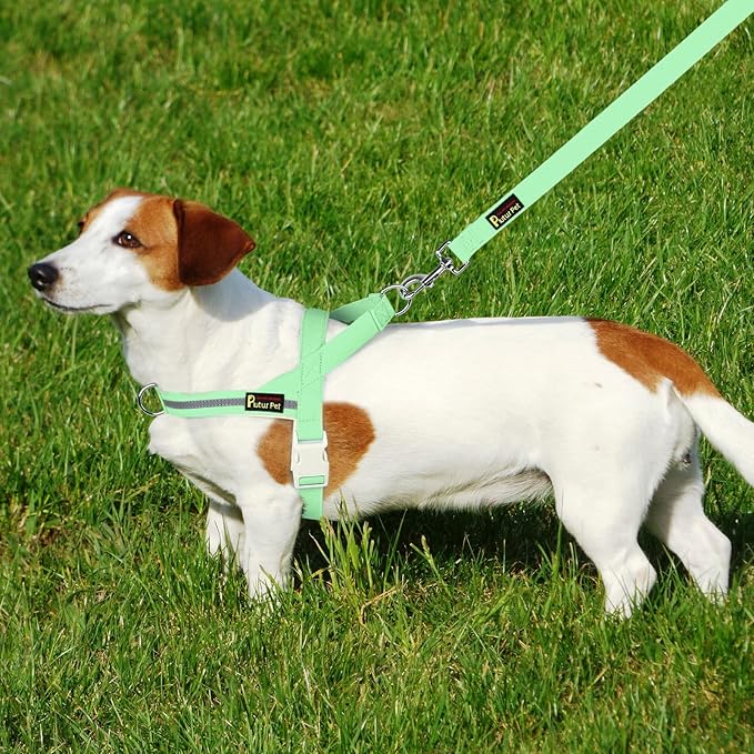 Plutus Pet Cotton Dog Harness and Leash Set, Reflective and Soft Padded, Quick Fit Vest Harness, for Small, Medium and Large Dogs, Light Green, M