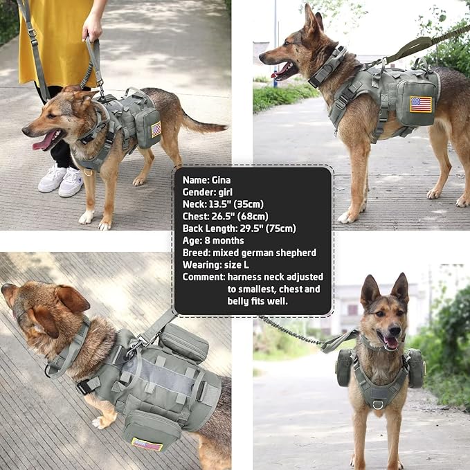 Forestpaw Tactical Dog Harness for Large Dogs,Tactical Dog Collar with Bungee Leash Set,No Pull Military Dog Harness for Walking Training,Adjustable for Medium Large Dogs,Gray,Chest 21.5-45"