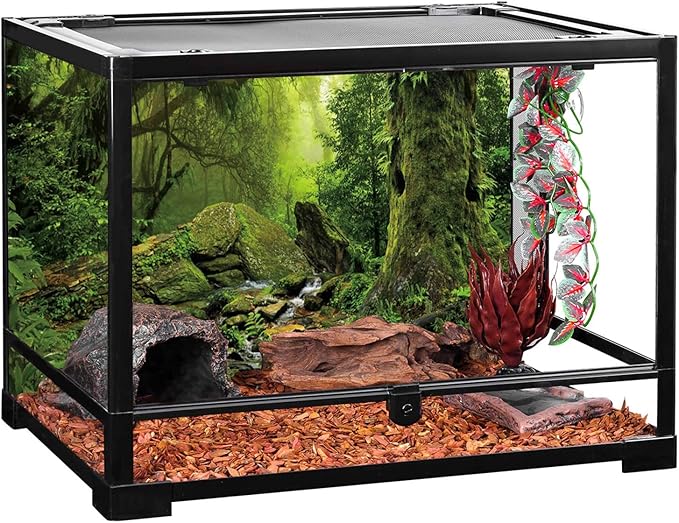 AWERT 48x24 inches Tropical Forest Terrarium Background Stream Green Huge Tree Reptile Habitat Background Foggy Rainforest Aquarium Background Durable Polyester Background