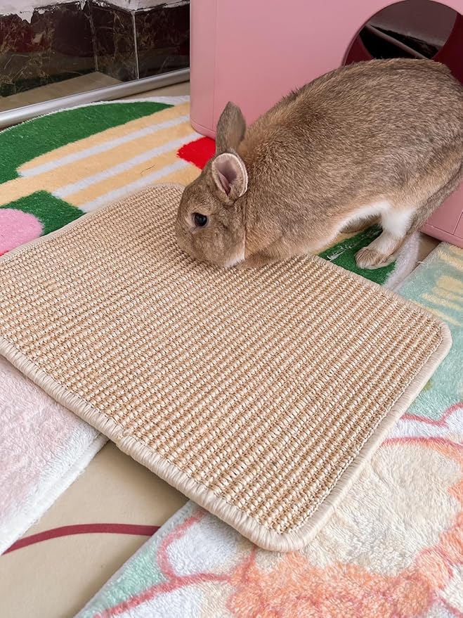 Rabbit Scratcher Mat 2 Pack Natural Sisal Bunny Scratching Mats, Small Animal Scratch Pad Rug for Indoor Grinding Claw Pad for Guinea Pigs Chinchillas (Beige)
