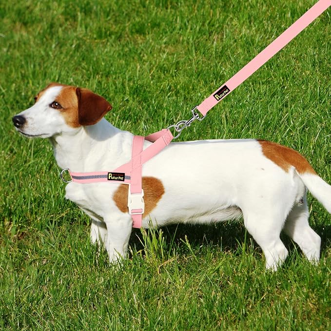 Plutus Pet Cotton Dog Harness and Leash Set, Reflective and Soft Padded, Quick Fit Vest Harness, for Small, Medium and Large Dogs, Pink, XXS