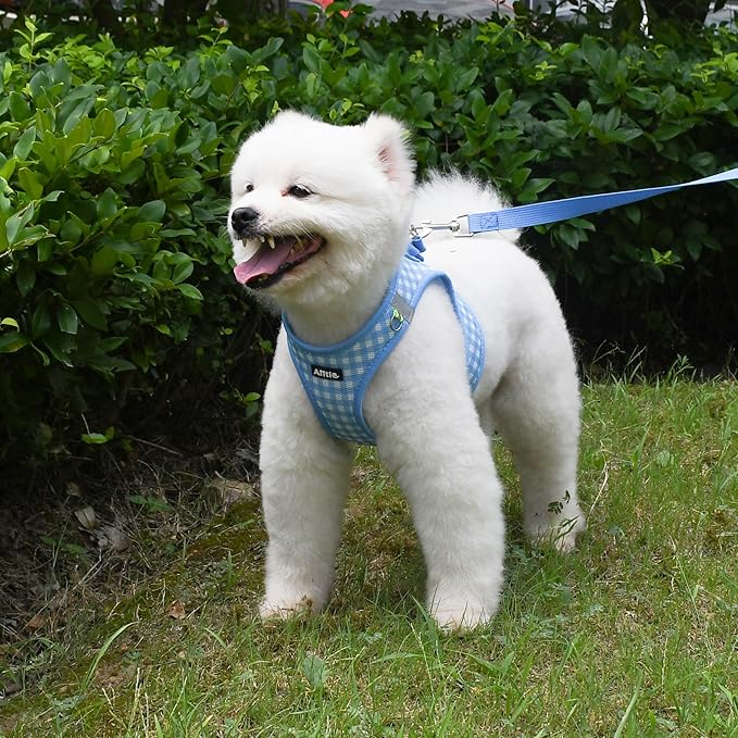 AIITLE No-Pull Pet Harness with a Leash, Plaid Comfort Padded Vest, Step in Dog Harness, Reflective Bands, Soft Breathable Pet Supplies, for Small and Medium Dogs and Cats Blue S