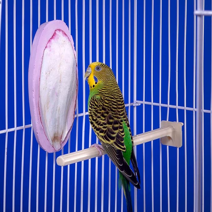 Penn-Plax Bird-Life 2-in-1 E-Cuttlebone & Mineral Block – Bananna & Berry Flavor – Great for All Birds – 2 Pack