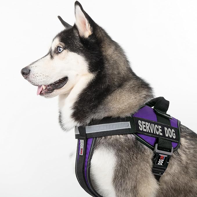 Dogline Unimax Service Dog Vest and Free Service Dog ID Badge with ADA Law, X-Large, Purple