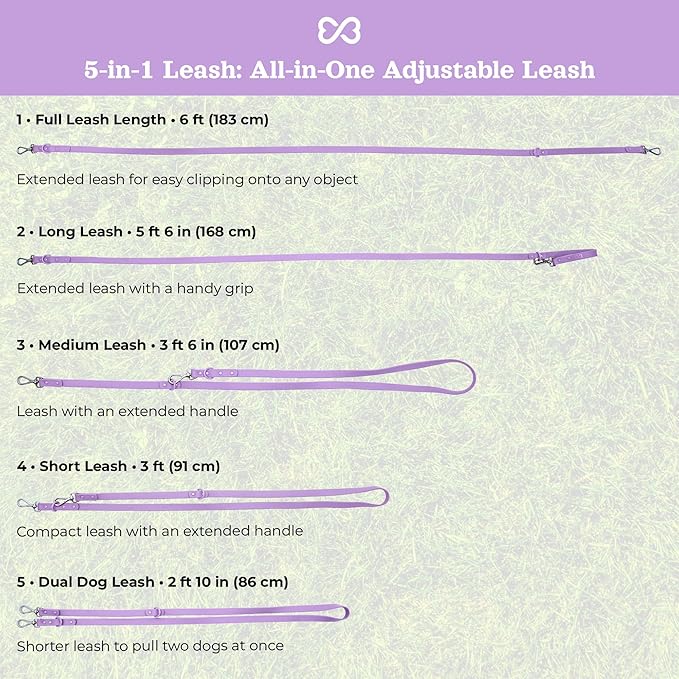 Dog Harness and Leash Set | BearBone No Pull Dog Harness and Waterproof Dog Collar and Leash Set | Heavy Duty Dog Harness, Leash and Collar | Medium Dog Harness, Leash and Collar (Lilac, Medium)