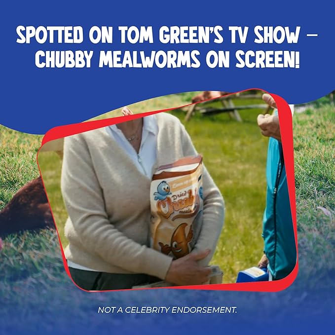 Chubby Mealworms 55Lb Bulk Dried Mealworms High Protein Treat for Chickens, Birds, Ducks and Much More