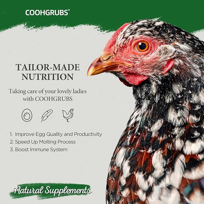 Dried Mealworms for Birds, Non-GMO High Protein Chicken Treats & Poultry Feed, 5 lb Bag