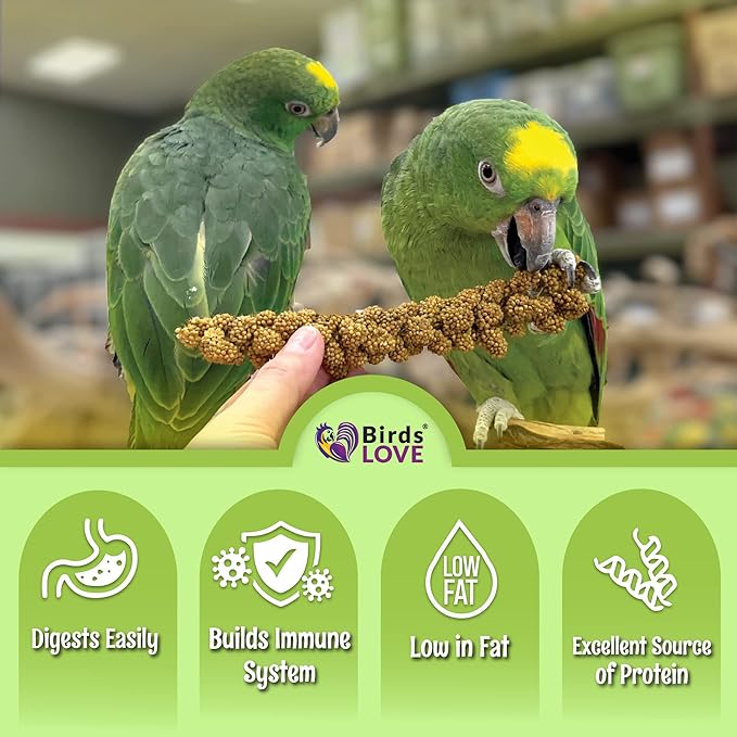 Birds LOVE French Kissed Spray Millet for Birds - Parakeets, Cockatiels, Lovebirds, Finches, Budgies, Canaries, Cockatoos - Natural & Healthy Bird Millet - Parakeet Food & Treats for All Parrots 2lbs