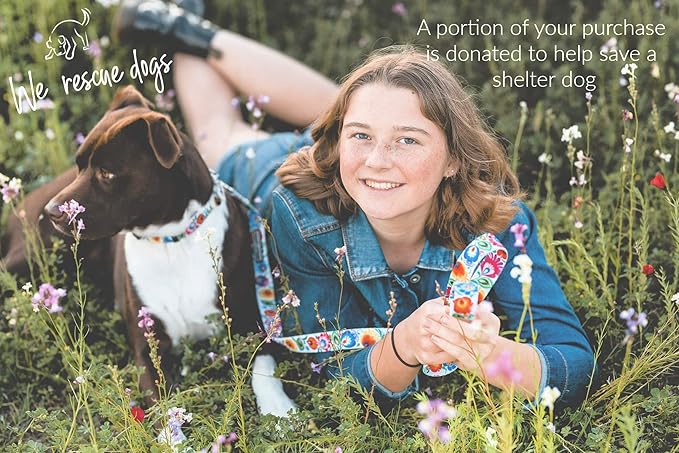 Lucky Love Dog, Soft Reversible Harness Vests, Vivid Floral Dog Vest Harness for Medium Female Dogs, Stylish Dog, Accessory (Ladybird, Medium)