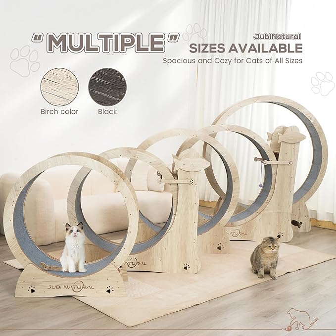 Cat Exercise Wheel, 40" Cat Running Wheel for Indoor Cats with Quiet Carpeted Runway, Cats Treadmill Wheels with Locking Mechanism, Cat's Weight Loss and Health - Black