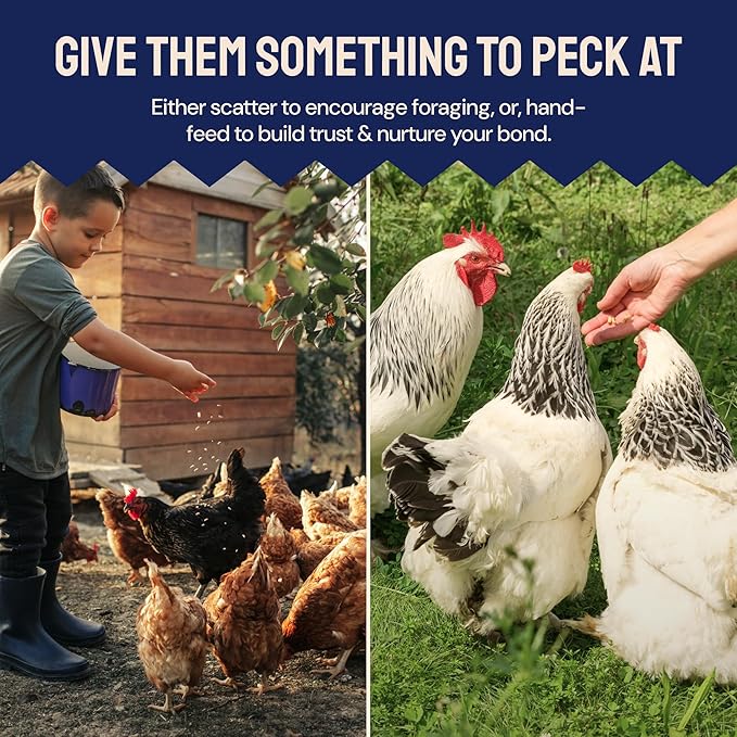 Hatortempt Chicken Feed & Treats - 10 Lb Non-GMO Bulk Larvae & Grubs - High-Protein Food for Laying Hens & Poultry - Grubs & Worms for Chickens & Bluebird Food - Calcium-Rich Supplement