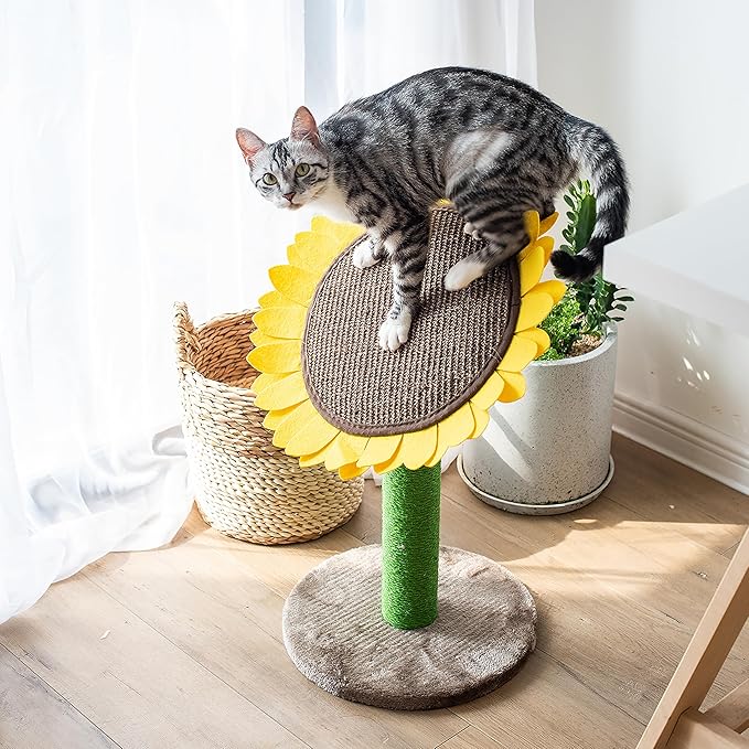 Catry 23" 2-in-1 Replaceable Cat Scratching Post with Convertible Sunflower Scratching Pad or Perch, Quick Assembly, Garden Style, Ideal for Small to Medium Cats
