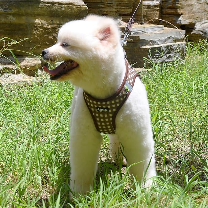 AIITLE No Pull Dog Harness and Leash Set, Step in No Chock Soft Mesh Dog Harnesses Reflective for Extra-Small Puppy Dogs and Cats, Plaid Dog Vest Harness for Pets Chocolate XXS