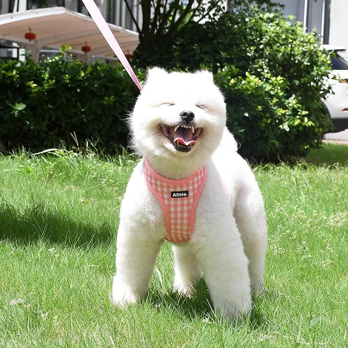 AIITLE Easy Walk Dog Vest Harness and Leash Set, Pet Supply No Pull, Breathable Mesh, Reflective Stripes, Adjustable Escape Proof Pet Outdoor Harnesses for Medium Dogs Watermelon L