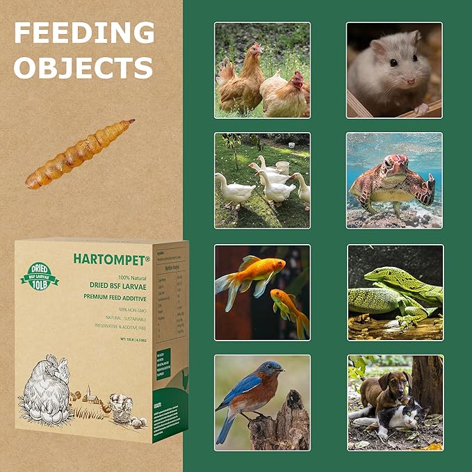 Premium Dried BSF Larvae for Chickens - 10LB High Calcium Supplement, Molting and Laying Support, Non-GMO & High-Protein Treats, Food for Wild Birds, Ducks, Repitle | Top Grade BSF