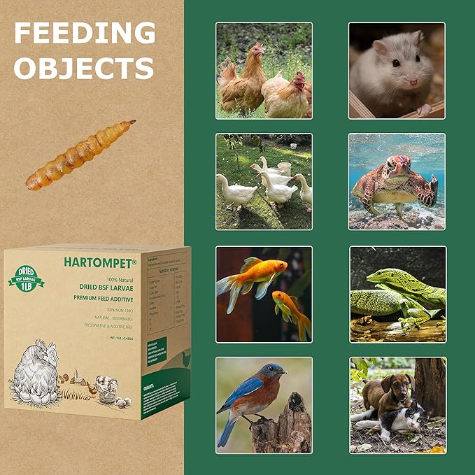 Premium Dried BSF Larvae for Chickens - 1LB High Calcium Supplement, Molting and Laying Support, Non-GMO & High-Protein Treats, Food for Wild Birds, Ducks, Repitle | Top Grade BSF