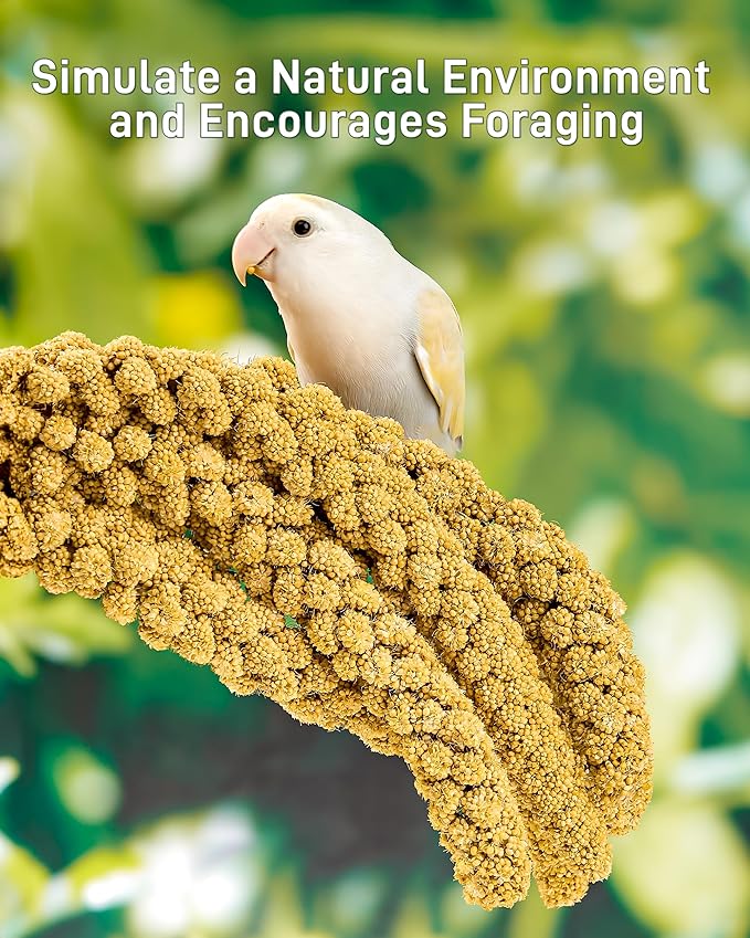 BUCATSTATE Spray Millet for Birds, Sun-Dried Healthy Millet Parakeet Treats for Parrots Cockatiel Lovebird Finch, GMO-Free Parakeet Food - 1.1lb