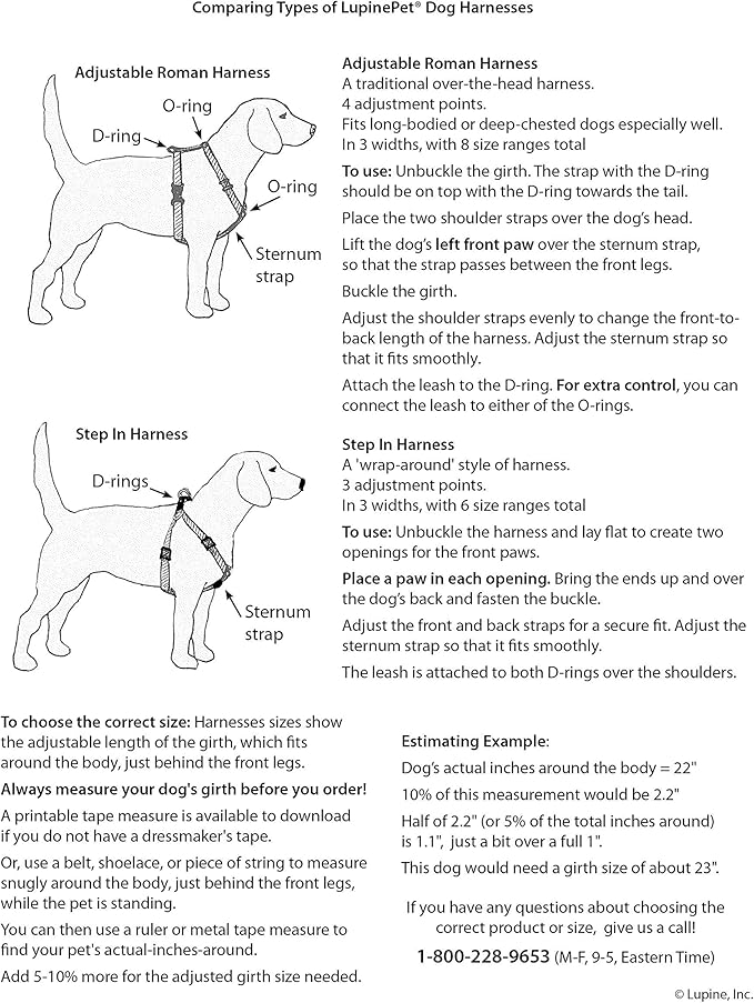 LupinePet Basics 1/2" Green 10-13" Step In Harness for Extra Small Dogs