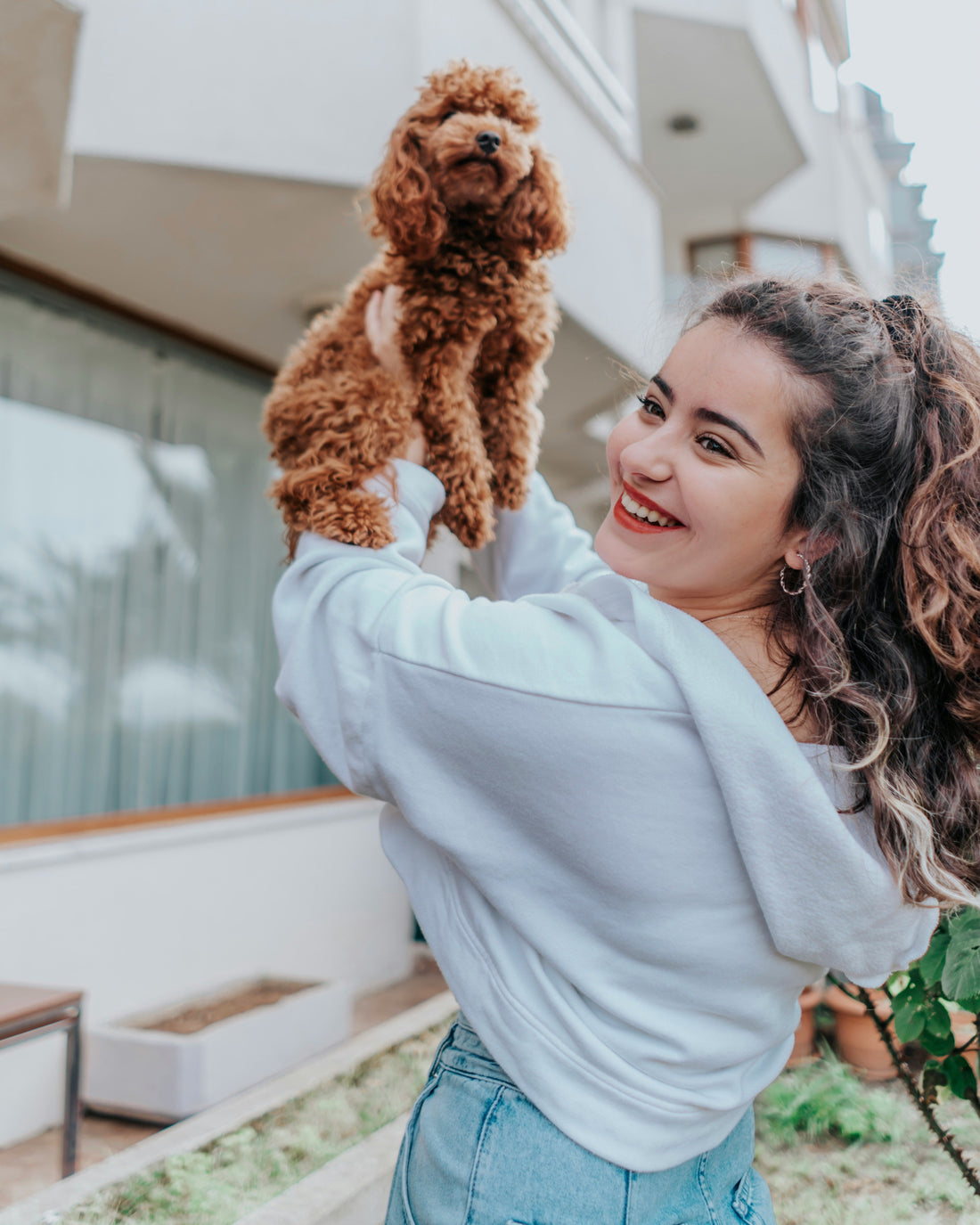 How to Create a Comfortable Daily Routine for Your Dog: Turning Simple Habits Into Lasting Well-Being