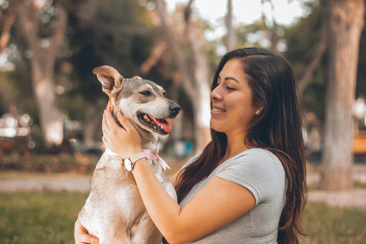 How Daily Pet Routines Reduce Anxiety and Support Long-Term Physical and Emotional Health