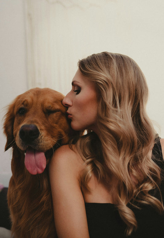 How to Create Long-Term Stability for Your Dog: Building a Life That Stays Balanced Over Time