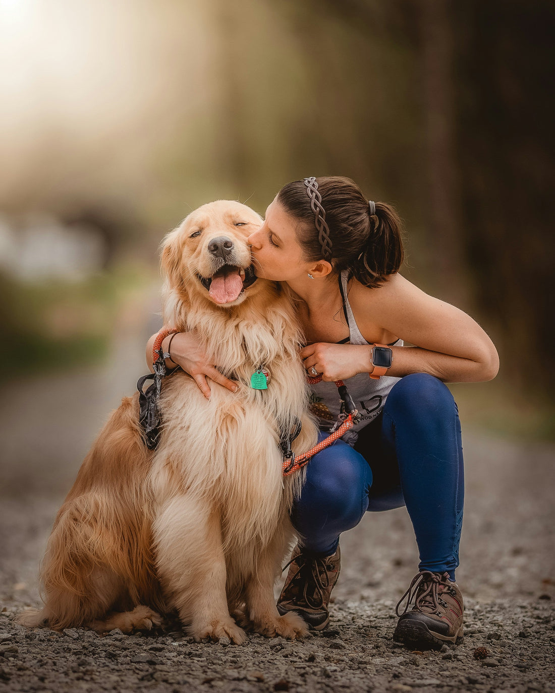 How to Create a Stress-Free Life for Your Dog: Eliminating Hidden Triggers and Building Daily Calm