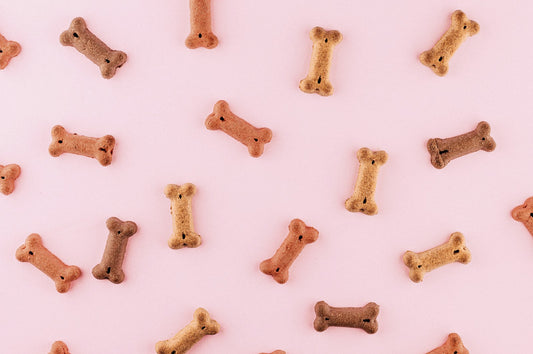 Premium dog food ingredients including grains and proteins