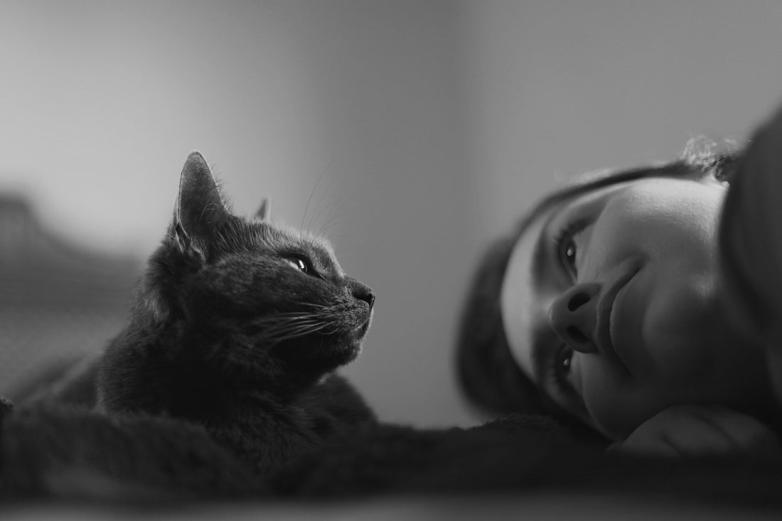Why Emotional Awareness Matters More Than Control in Pet Care