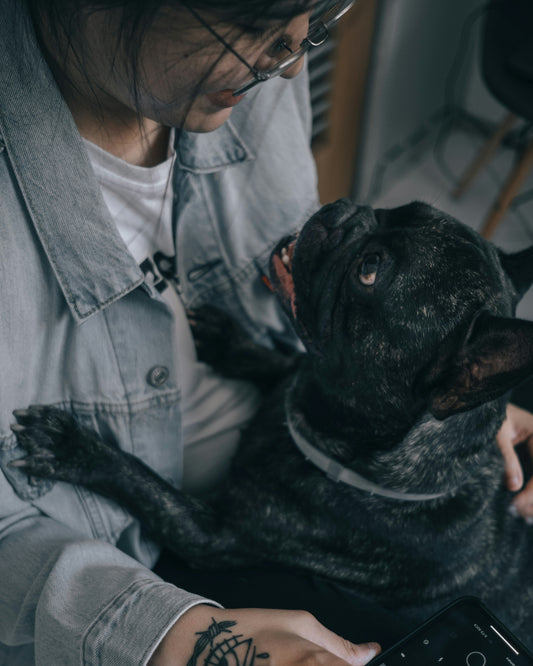 How to Prevent Behavioral Issues in Dogs: Building the Right Foundation From the Start