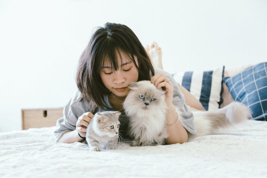 How Predictable Communication Reduces Anxiety and Builds Confidence in Pets
