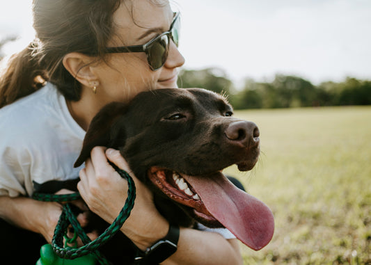 How Small Daily Choices Shape a Pet’s Long-Term Emotional Health