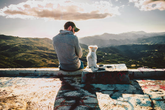 How Emotional Bonding with Your Pet Improves Health, Behavior, and Longevity