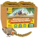 Birds LOVE Wholesome & Lovely Spray Millet | GMO Free (No Stems Only Edible Tops) for Parrots Birds Cockatiel Lovebird Parakeet Finch Canary All Parrots Healthy Treat -25lbs