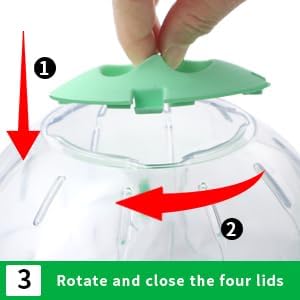 Hamster Exercise Ball, 7.9 Inch Syrian Hamster Ball, Transparent, Large Ball with Four entrances (Blue)