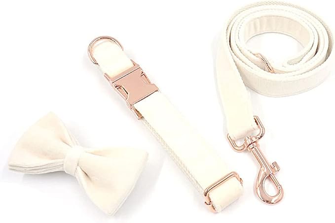 PETDURO Custom Dog Collar Personalized with Name Engraved Quick Release Rose Gold Metal Buckle for Large Medium Small Girl Dogs - Dog Leash and Bow Tie Available - Soft Comfy Velvet (Cream, S)