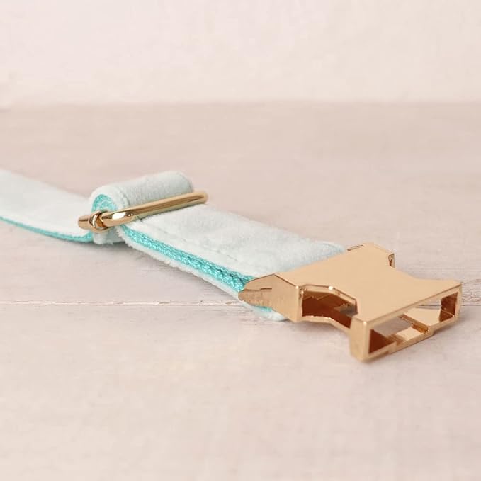 PETDURO Personalized Dog Collar Mint Blue Soft Velvet for Large Medium Small Boy Girl Dogs - Custom Collar with Name Phone Number Engraved on Gold Metal Buckle - Add Leash Bow Set via Customize Now