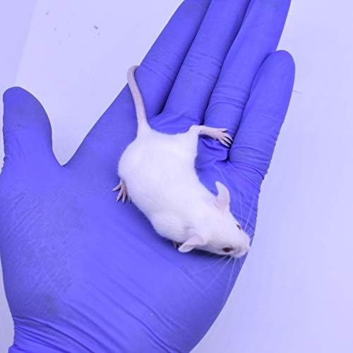 MiceDirect 200 Frozen Mice Weanling Feeders Snake Food for Juvenile Red Tail Boas Ball Python Adult Milk Snakes Corn Sand Boa (2-2.5 in) (Pack of 200) (2600 Grams Min)