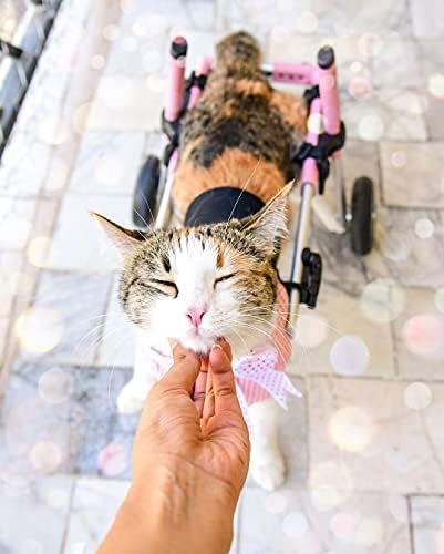 Walkin' Wheels Lightweight – for Small Cats 2 to 20 Pounds – Veterinarian Approved – Cat Wheelchair for Back Legs, for Cats 2-10 lbs, 2-5 inches Leg Height – Blue