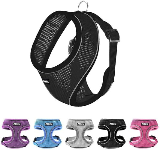 AIITLE Breathable Dog Harness Small Sized Dog, Comfortable Adjustable Mesh Vest with Quick-Release Buckle, Reflective Safety Strips – Perfect for Poodles, Teddy Dogs (M, Black)
