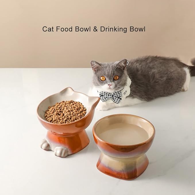 Nihow Elevated Cat/Dog Bowls Set : 6.2 Inch Ceramic Raised Cat Food & Water Bowl Set for Protecting Pet's Spine - Feeding & Watering Supplies for Cat/Small Size Dog - Elegant Brown (2PC)