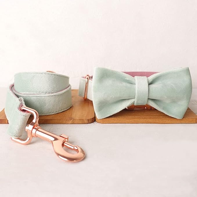 PETDURO Custom Dog Collar Personalized with Name Engraved Quick Release Rose Gold Metal Buckle for Large Medium Small Girl Dogs - Dog Leash and Bow Tie Available - Soft Comfy Velvet (Mint Pink, L)