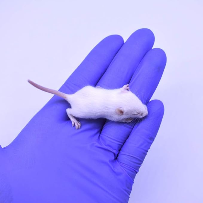 MiceDirect Frozen Mice Combo Pack 50 Fuzzies & 50 Hoppers Frozen Reptile & Snake Food (100 Count)