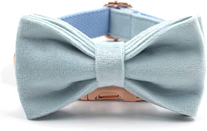 PETDURO Custom Dog Collar Personalized with Name Engraved Quick Release Rose Gold Metal Buckle for Large Medium Small Girl Dogs - Dog Leash and Bow Tie Available - Soft Comfy Velvet (Sky Blue, S)