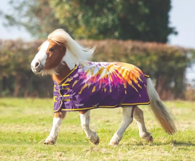 Tack Shack of Ocala- Shires Mini/Foal Highlander Turnout Blanket, Waterproof Turnout Blanket, 600 Denier, 200g Polly Fill Turnout Blanket, Mini Waterproof Blanket (Gold Tie Dye, 33)