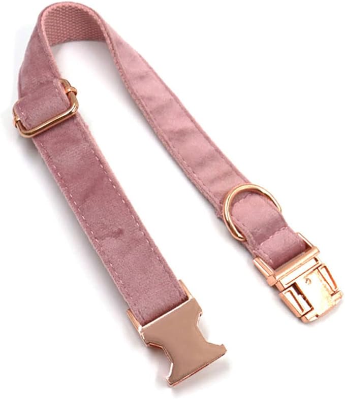 PETDURO Custom Dog Collar Personalized with Name Engraved Rose Gold Metal Buckle for Large Medium Small Girl Dogs - Dog Leash and Bow Tie Available - Soft Comfy Velvet (Champagne Pink RG, M)