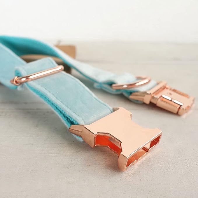 PETDURO Custom Dog Collar Personalized with Name Engraved Quick Release Rose Gold Metal Buckle for Large Medium Small Girl Dogs - Dog Leash and Bow Tie Available - Soft Comfy Velvet (Mint Blue, M)