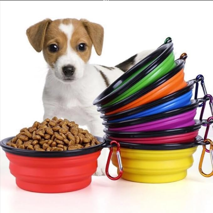 Collapsible Pet Bowl Set, Portable Silicone Travel Food Water Bowls with Carabiner Clip, Multi-Color, Space-Saving Design for Dogs Cats (Blue & Green)